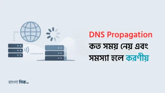 DNS Propagation কত সময় নেয় এবং সমস্যা হলে করণীয়